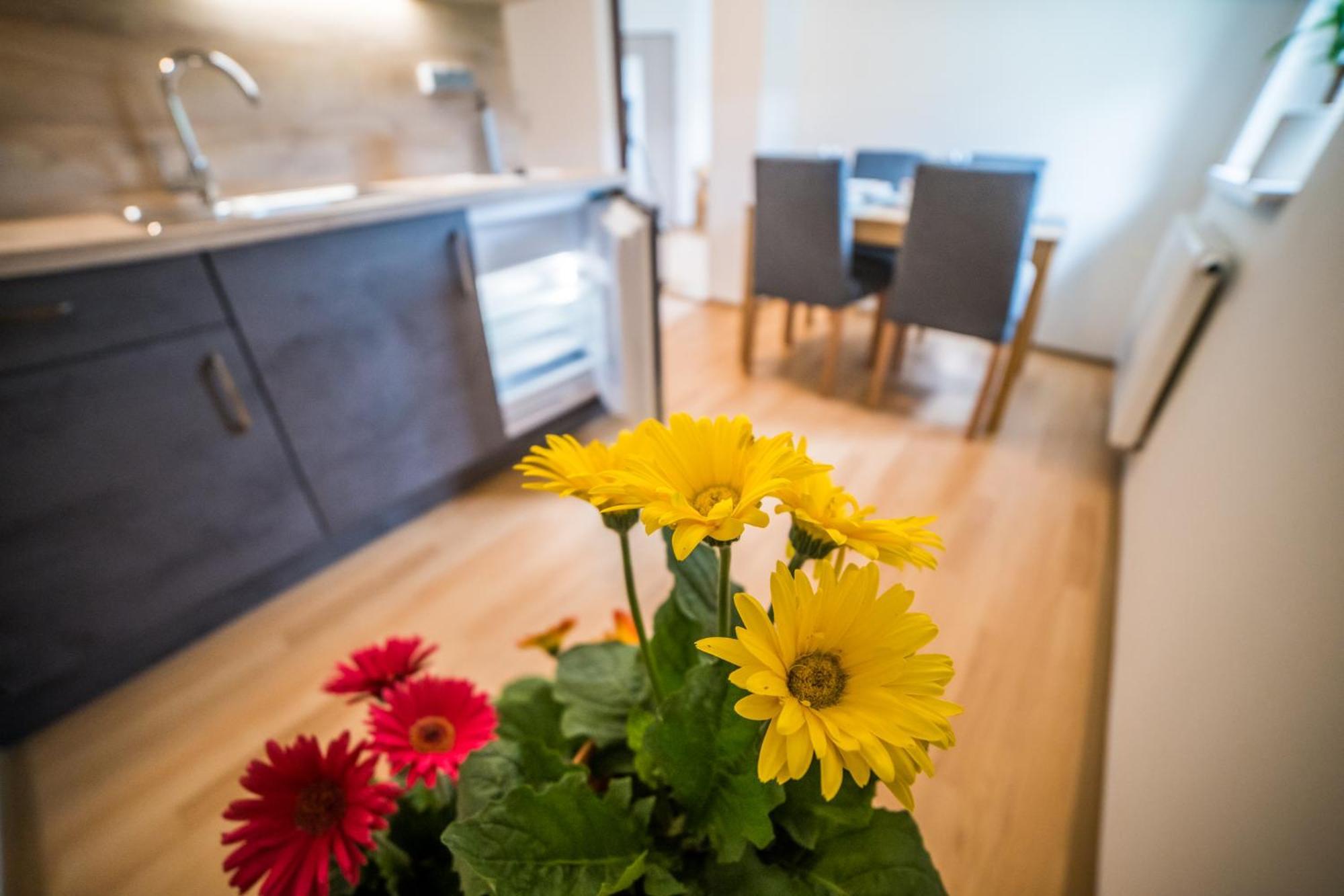 Apartmany Hasicarna Horni Vltavice Luaran gambar