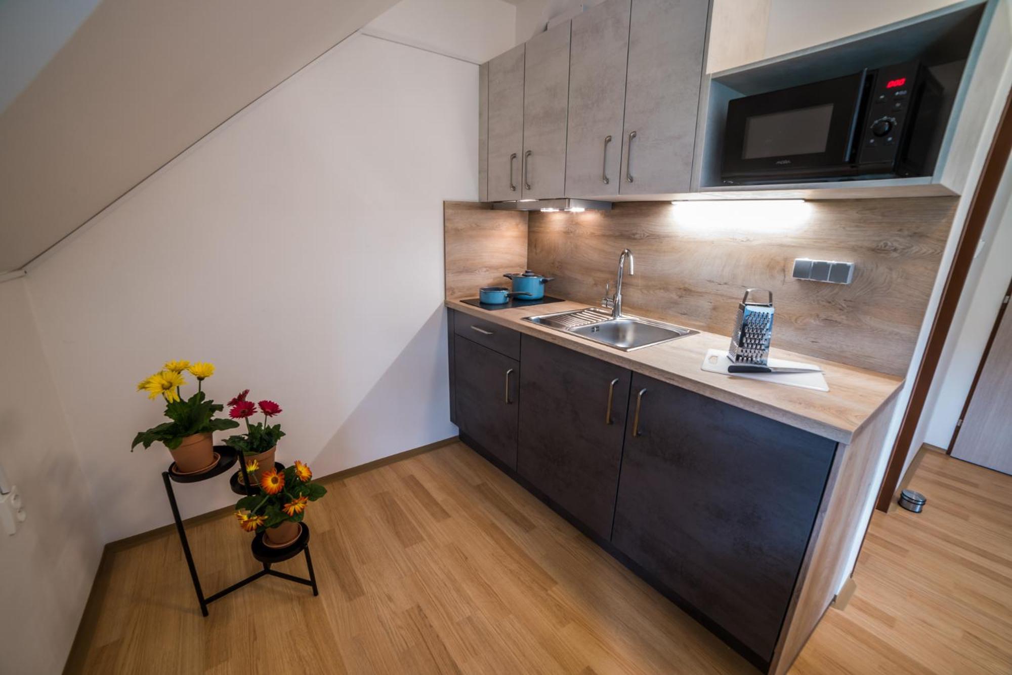Apartmany Hasicarna Horni Vltavice Luaran gambar